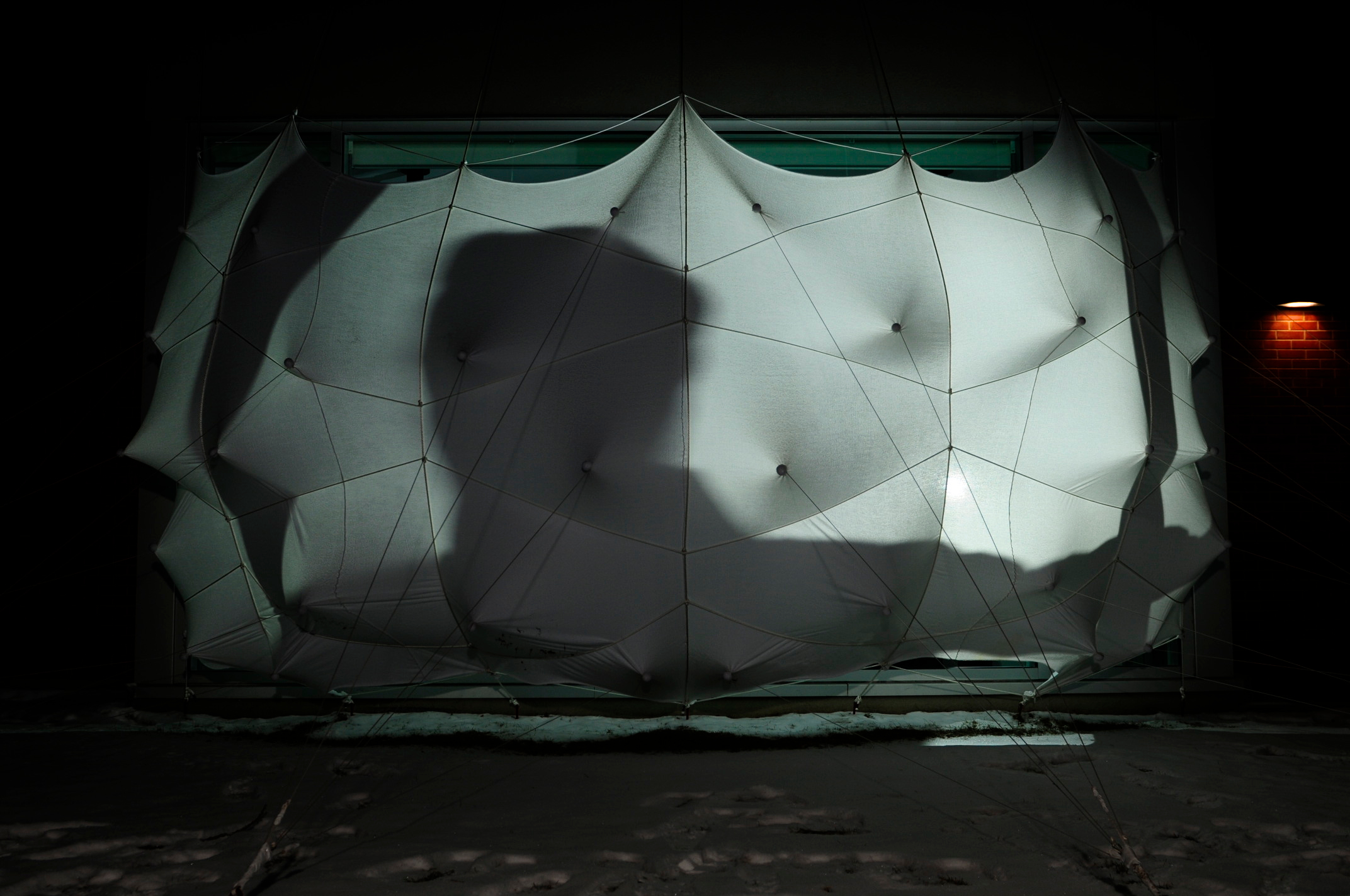 蜂群；一群（昆虫、人等）；一大群；蜂拥而至；成群移动；云集丨加拿大丨Lancelot Coar-37