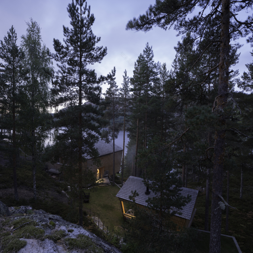 挪威杜鹃的巢室-6