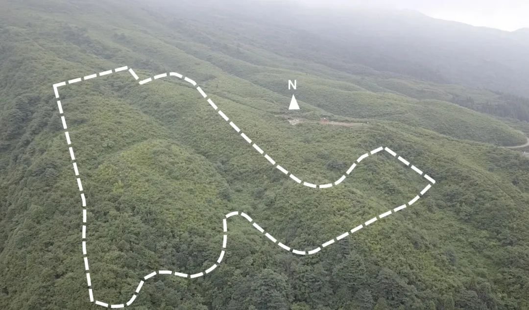 泸州之巅的云卷云舒——洲际·漢林度假酒店设计解析-15