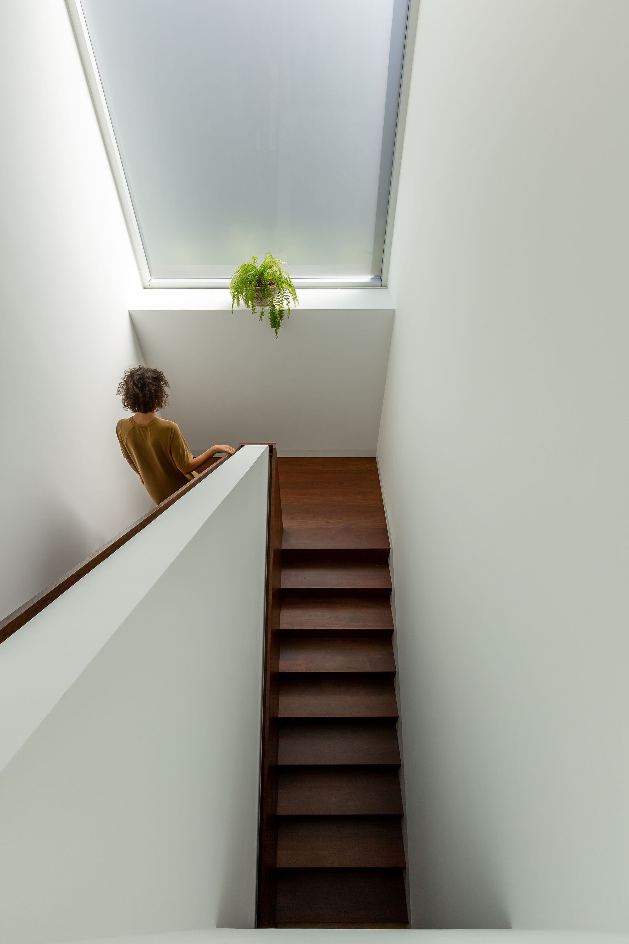 塞拉多·达阿德加的房子丨葡萄牙丨AA. Arquitectos-18