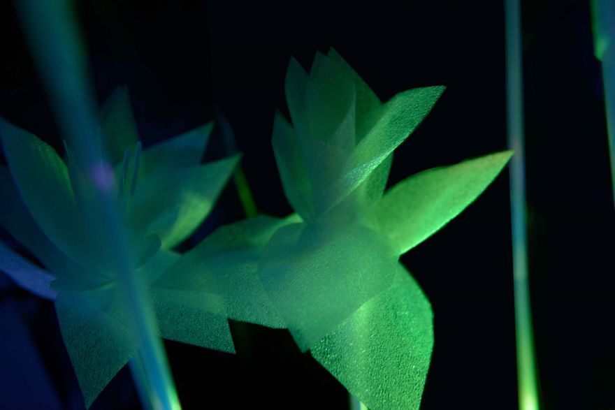 黑暗森林装置-11