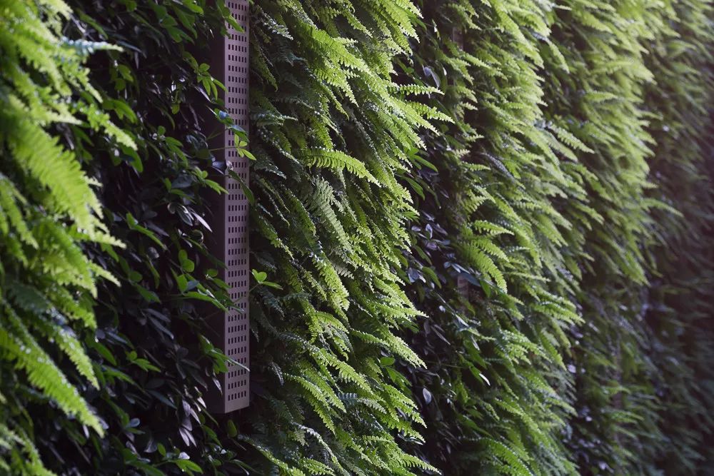 工学与美学的碰撞  | 华发 · 卓凡中心-25