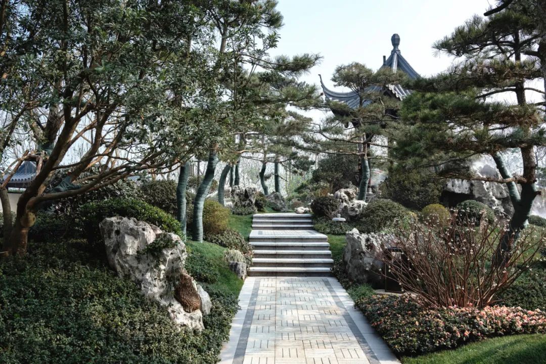 苏式诗意栖居·万景·进园汇丨中国眉山丨万景集团-82