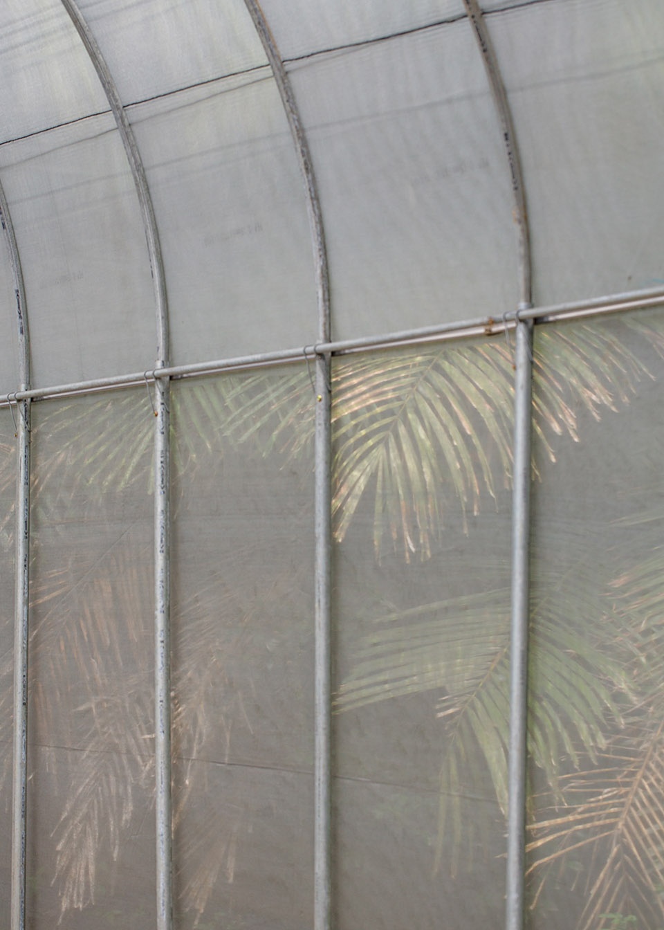 苗栗香格里拉乐园的生态奇观·勤美学森大-55