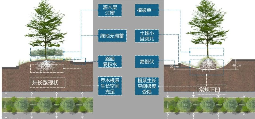 深圳光明区海绵城市改造丨中国深圳丨文科园林-18