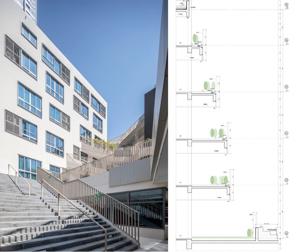 深圳桃园小学 | 高楼林立下的“城市绿洲”-60