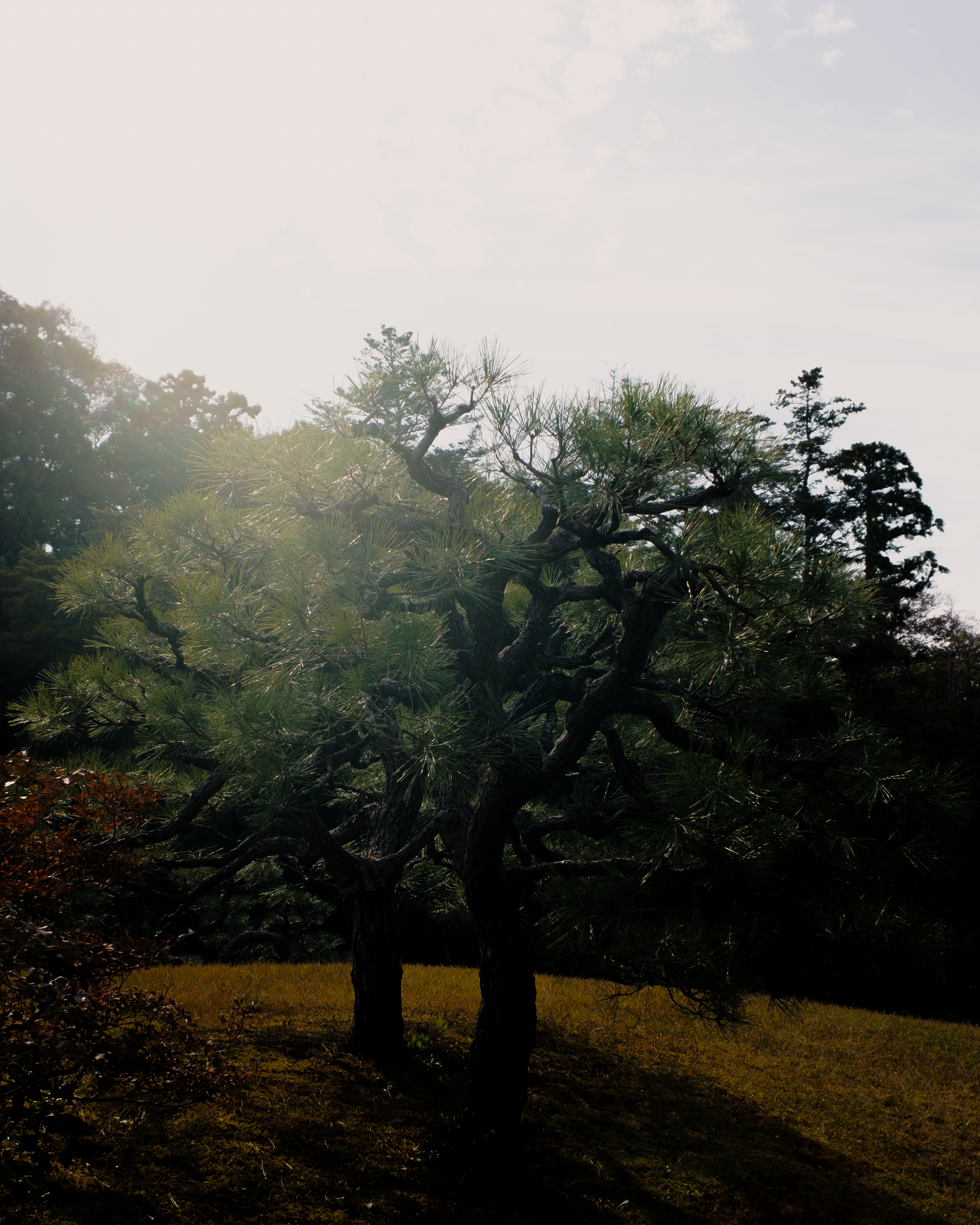 Yosuien 室内设计丨日本奈良-18