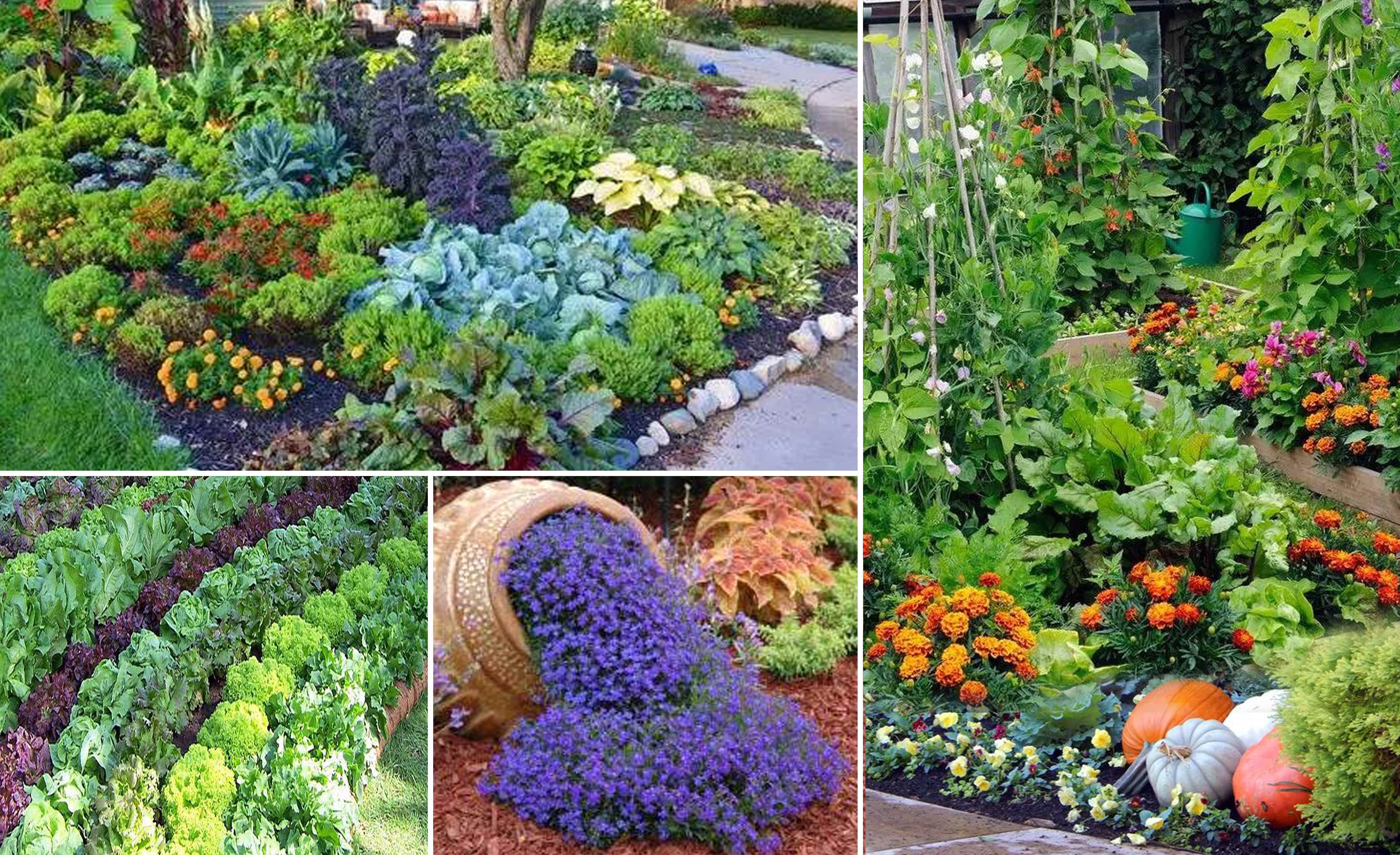 威海明辰湖畔原乡别墅样板房丨中国威海丨广州集美组-53