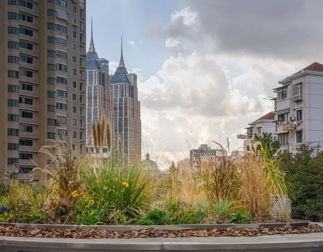 土地先喻 · 宝特瓶里的生态艺术空间丨中国上海丨刘宇扬建筑事务所-5