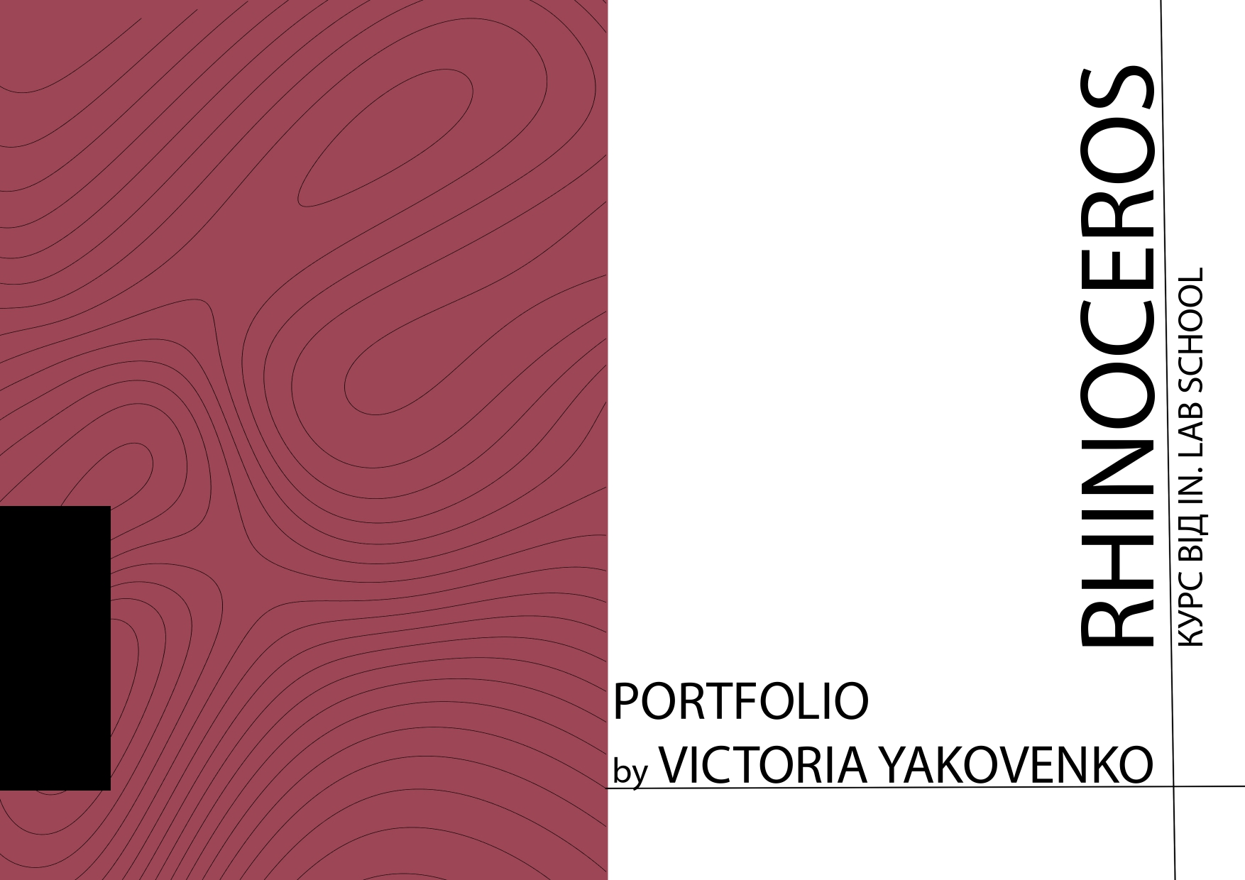 Rhinoceros portfolio-0