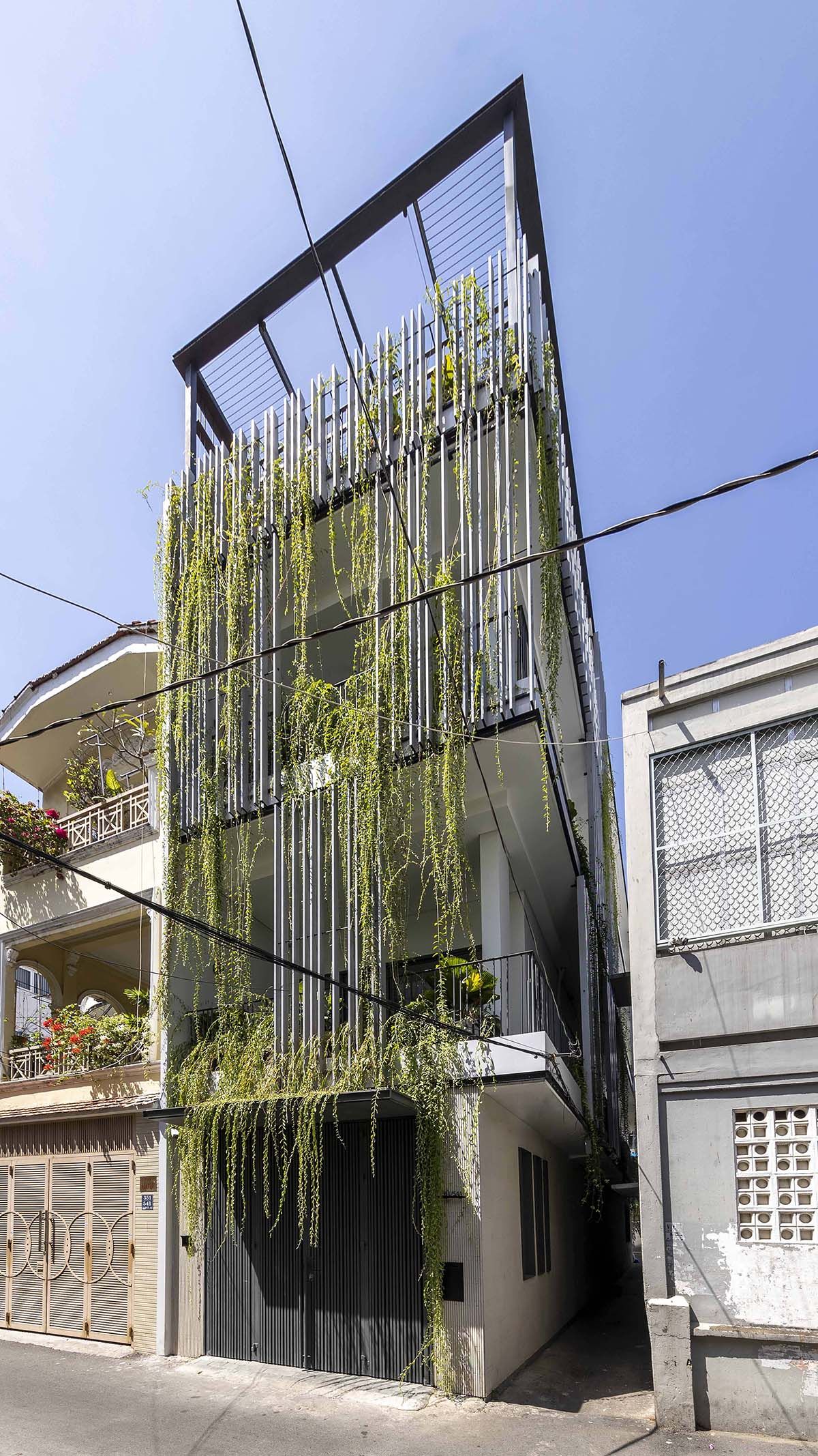 绿色连接的 Vy House-5