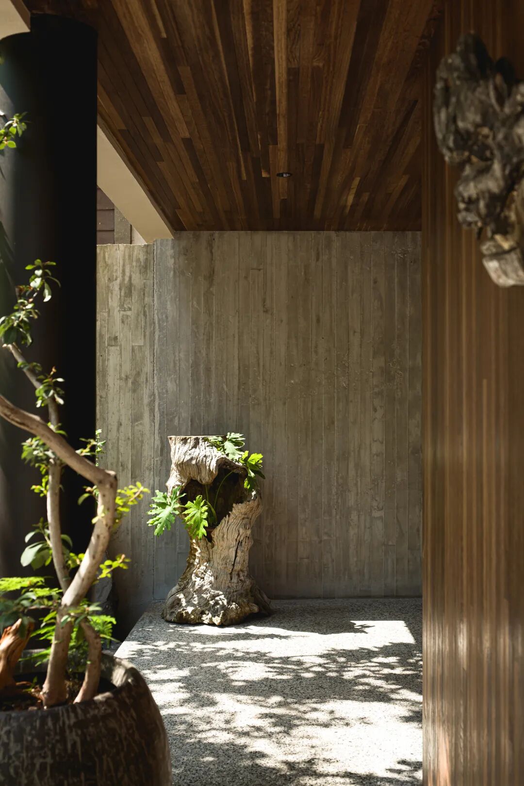 PrivateHome|自然与东方-91