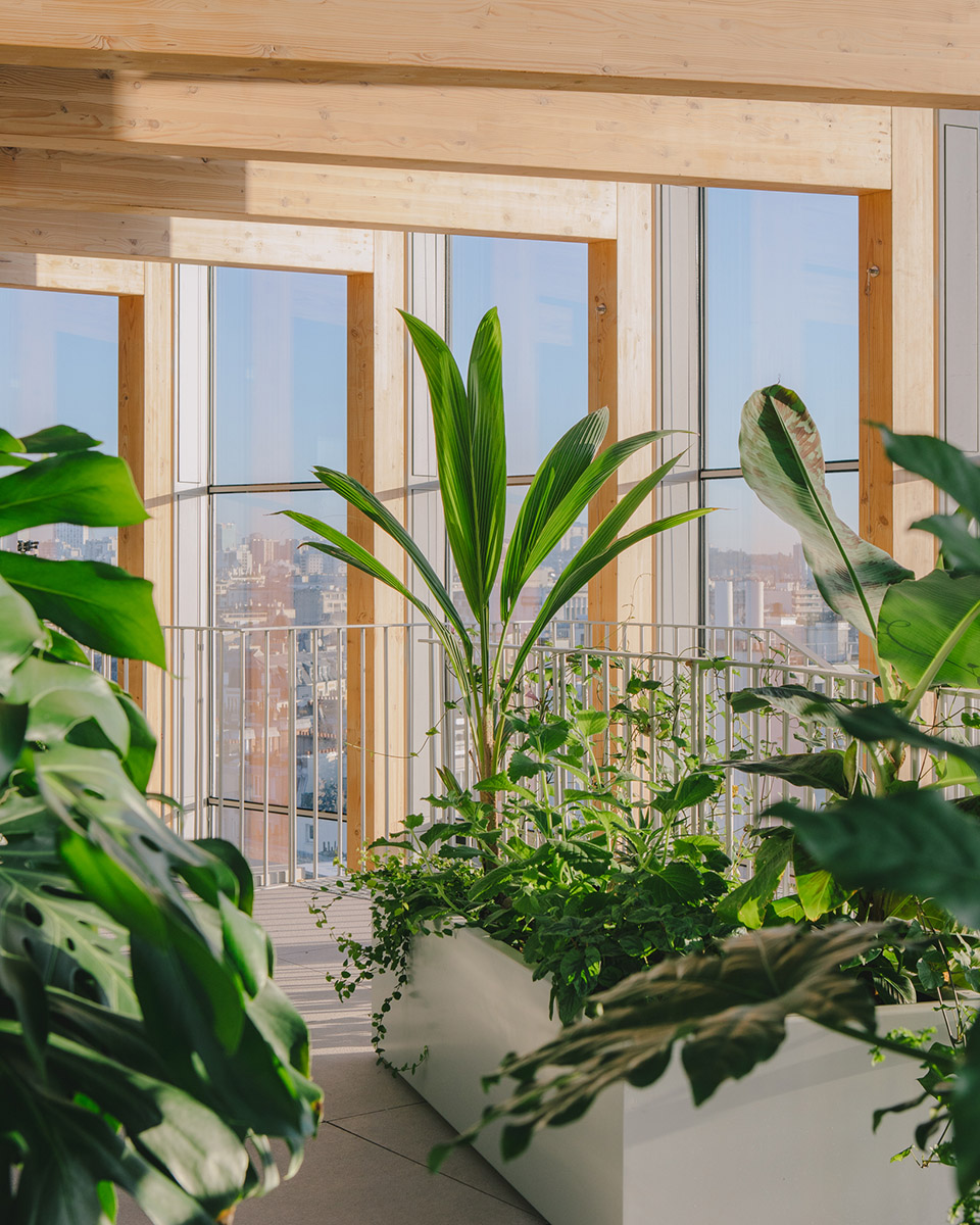 Racine 塔楼改造丨法国巴黎丨Maud Caubet Architectes-50