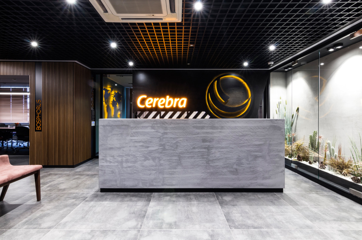 Cerebra CPAs & Advisors Offices – Istanbul-12