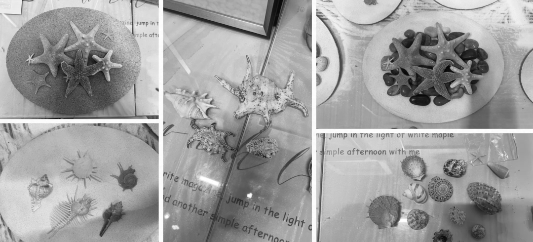 航海奇遇冒险|成都新希望锦粼湖院儿童乐园|尚沃出品-59