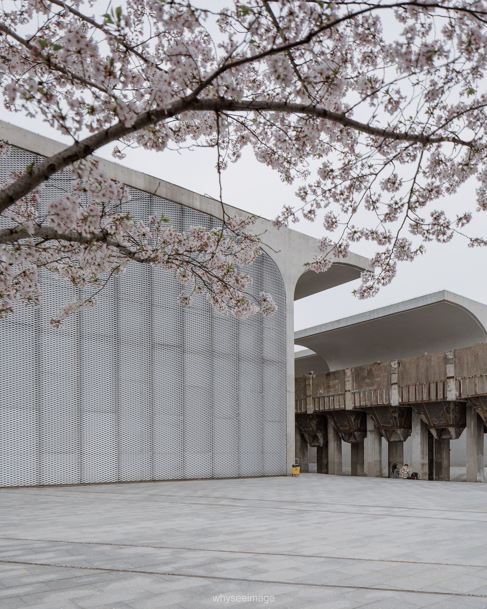 樱花+龙美术馆丨中国上海丨大舍建筑设计工作室-29