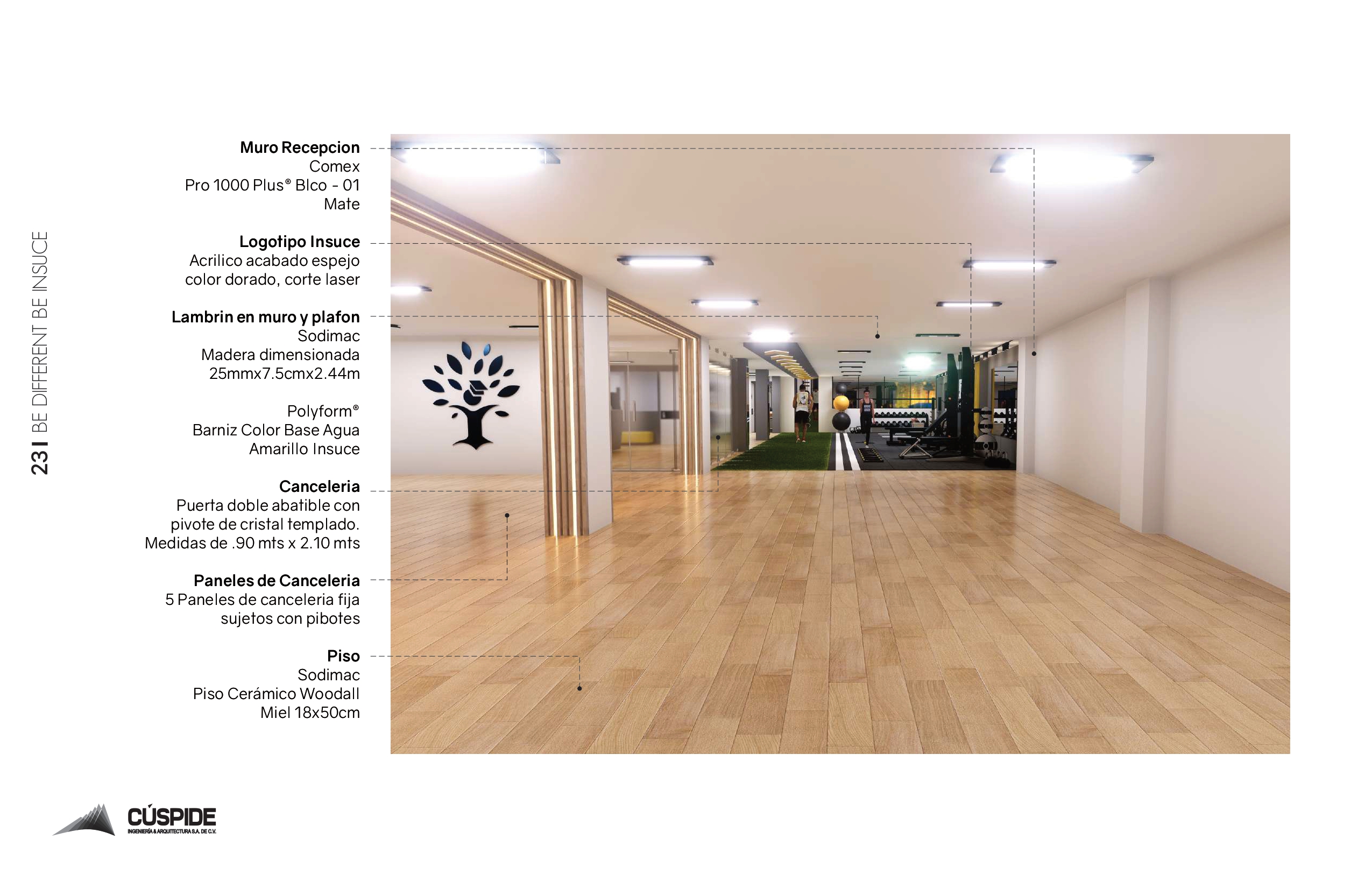 由于 Insuce 并非常见词汇，难以准确理解其含义，无法提供准确翻译 -24