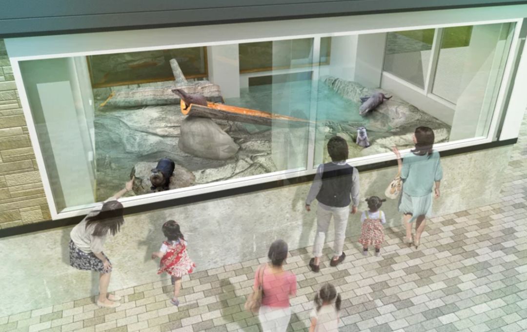 全球最美星巴克,花店、水族馆、百樱共赏-18