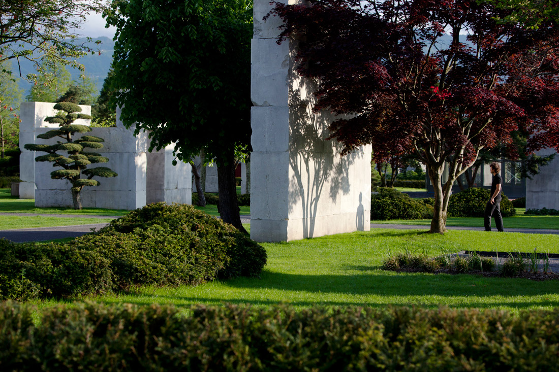 瑞士树博物馆丨Enzo Enea-9