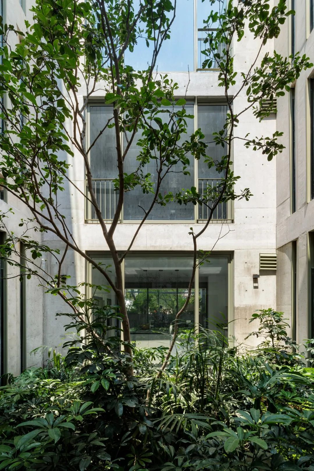 Progreso 地质博物馆与 CRA 住宅丨墨西哥丨Estudio MMX-57