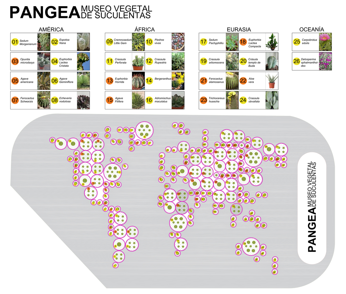 废弃停车场变身为城市绿洲 · Murcia Succulents 博物馆-17