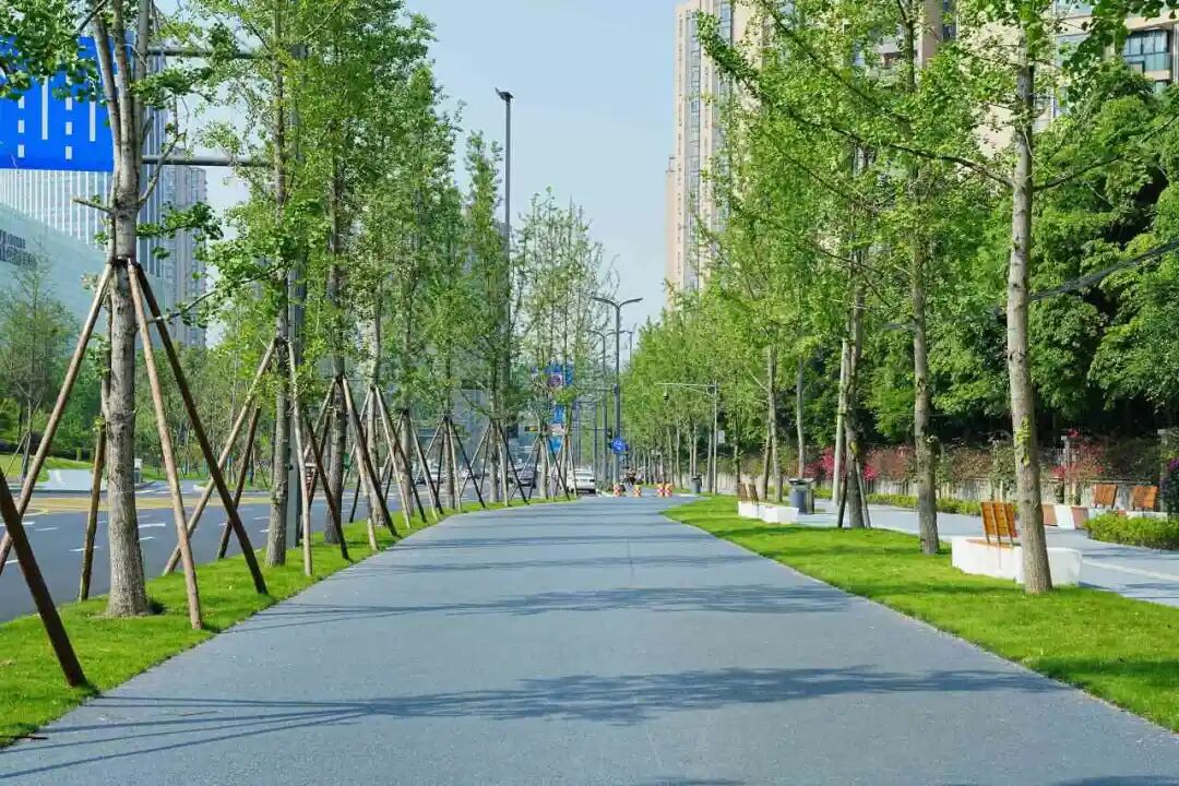 市市政交通院“城市动脉”两江路项目正式通车，一起来看有哪些变化？-38