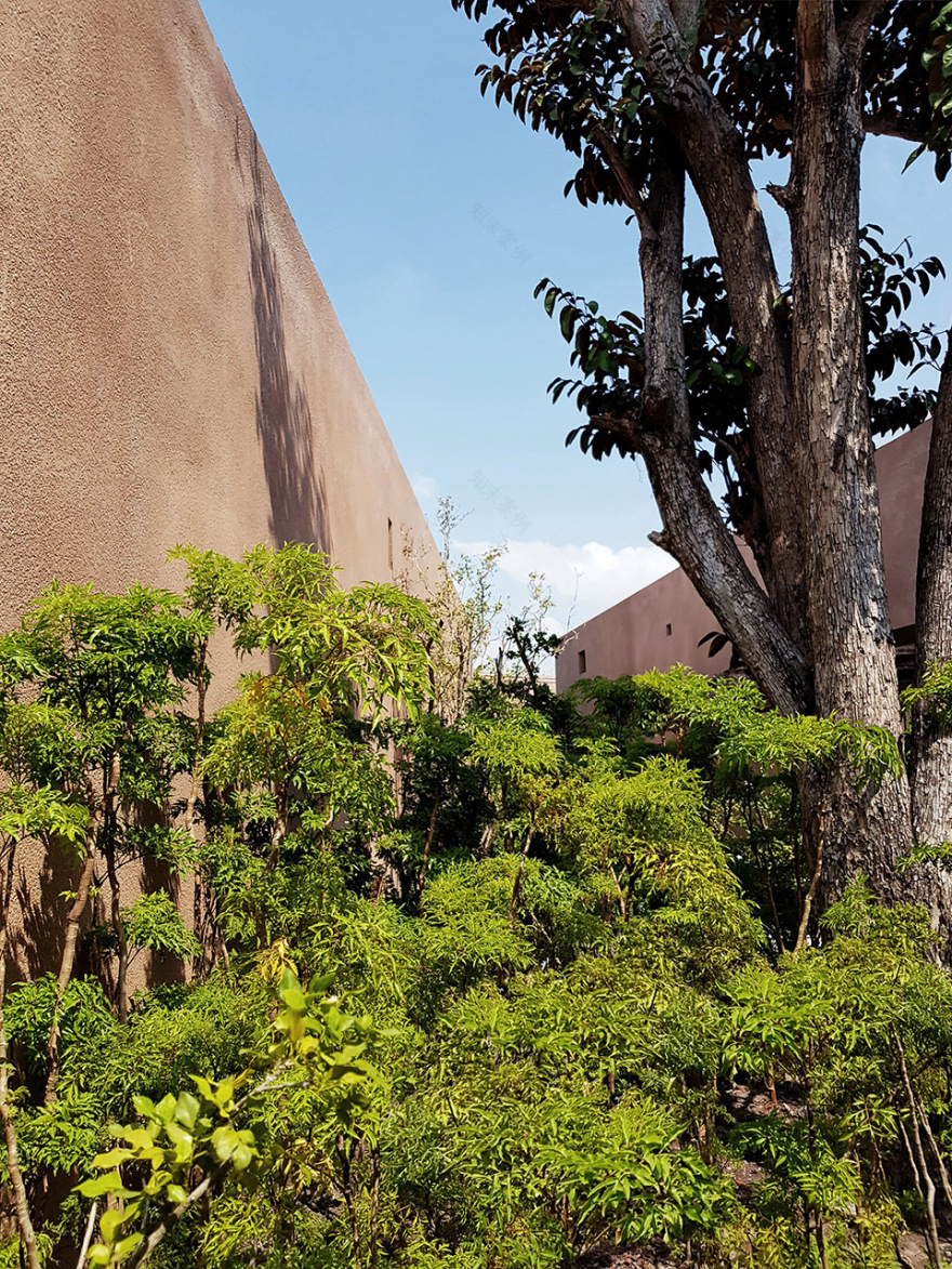 PHU MY GARDEN花园建筑,越南 / TAA Design-37