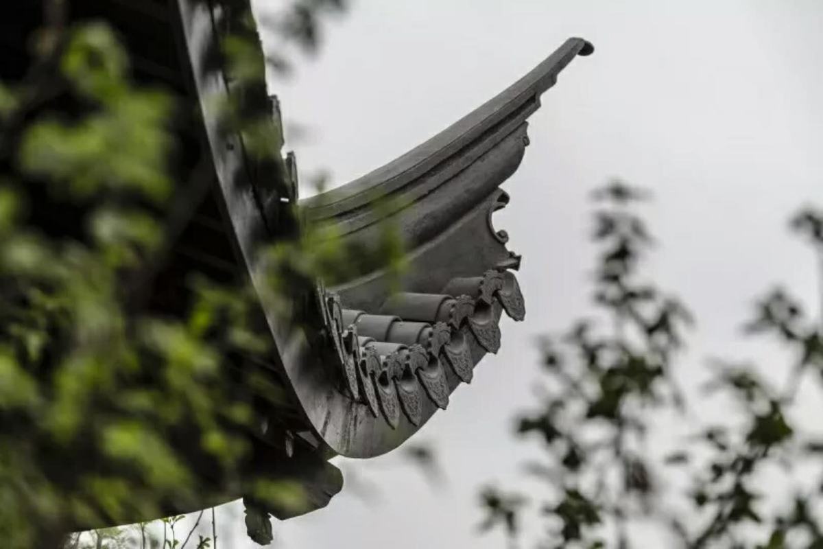 天津桃李春风-43