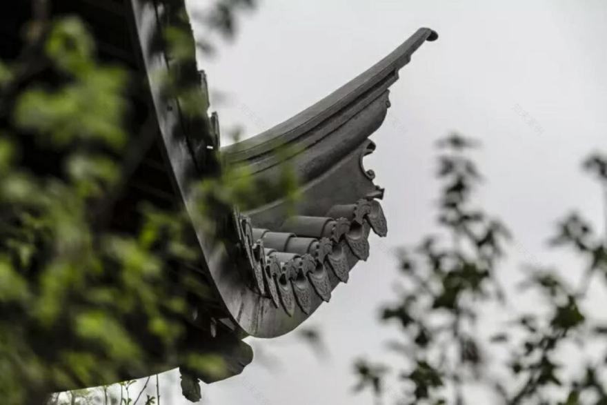 天津桃李春风-43