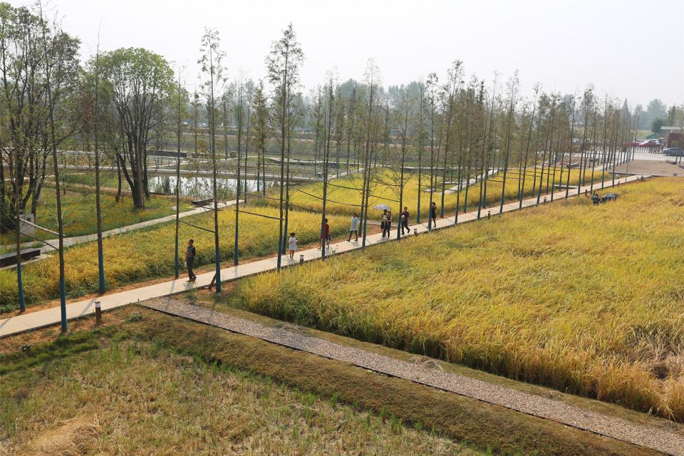 城头山遗址外围景观再现-14