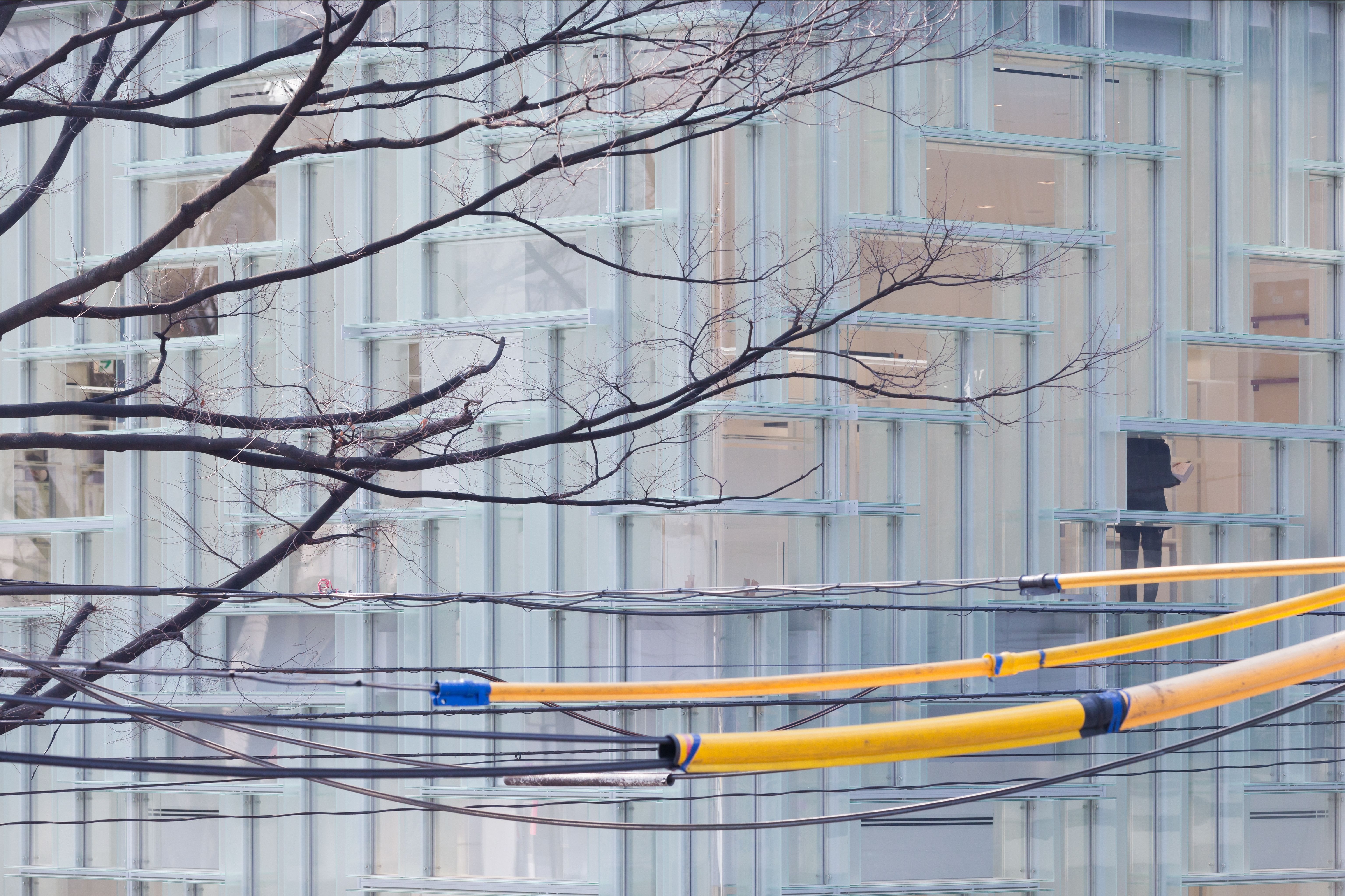 Coach 东京旗舰店-7