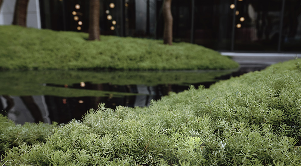 苏州旭辉和风花园示范区景观-18