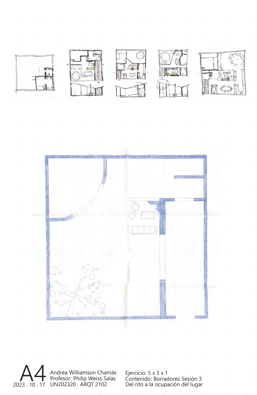 ARQT 2102丨Andrea Williamson Chamás-10