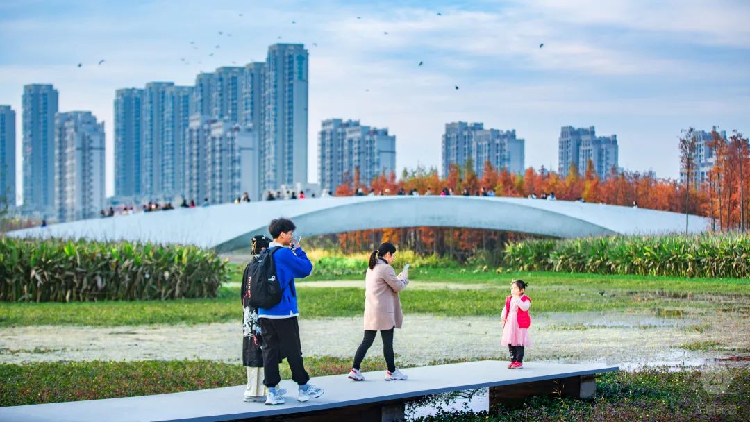 南昌市鱼尾洲湿地公园丨中国南昌丨北京土人城市规划设计股份有限公司-43