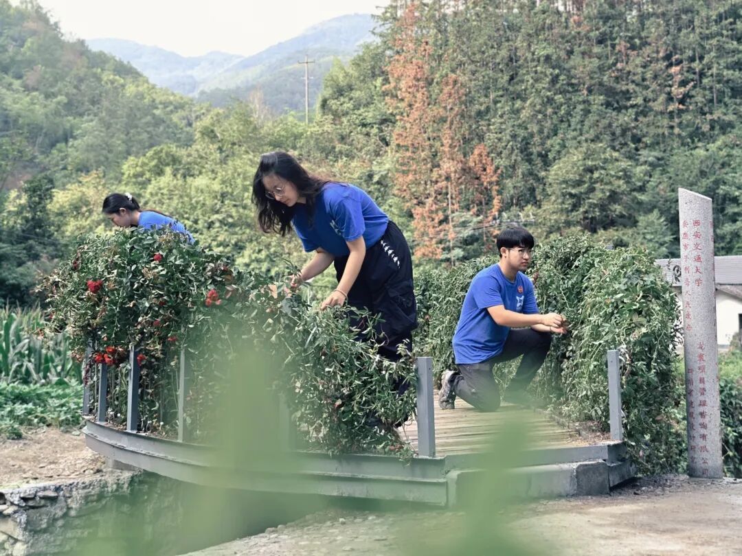 西安交大联合SADI在秦岭深处搭建连心桥，公益助力乡村振兴-2