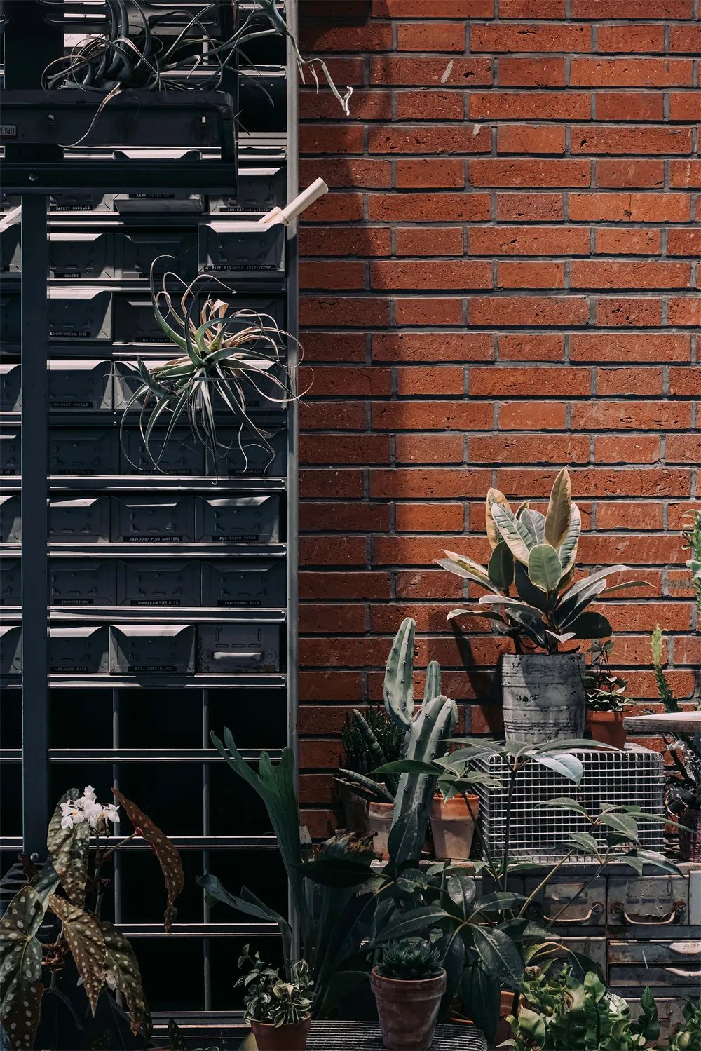 南京颖粤粤菜餐厅丨中国南京丨三厘社TRIOSTUDIO-53