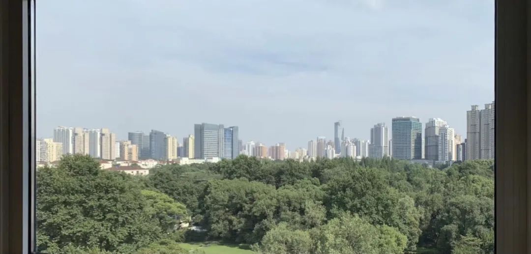 华政校园里的枫木盒子 | 书香诗意的小木屋-79