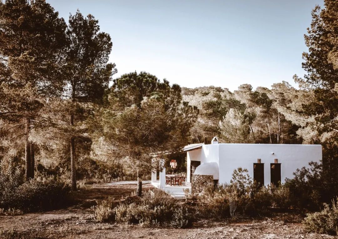 伊比沙岛自然之美 | La Granja Ibiza 农舍设计-6