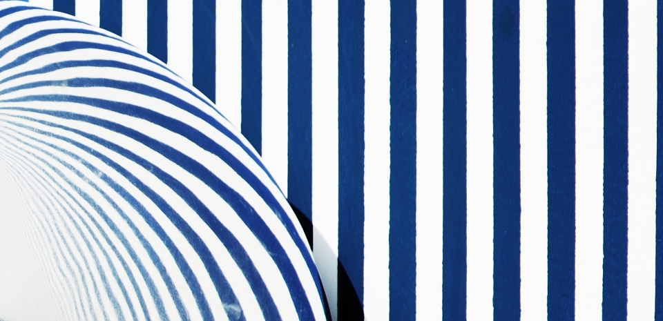 海魂衫之旅,秦皇岛访客中心-18