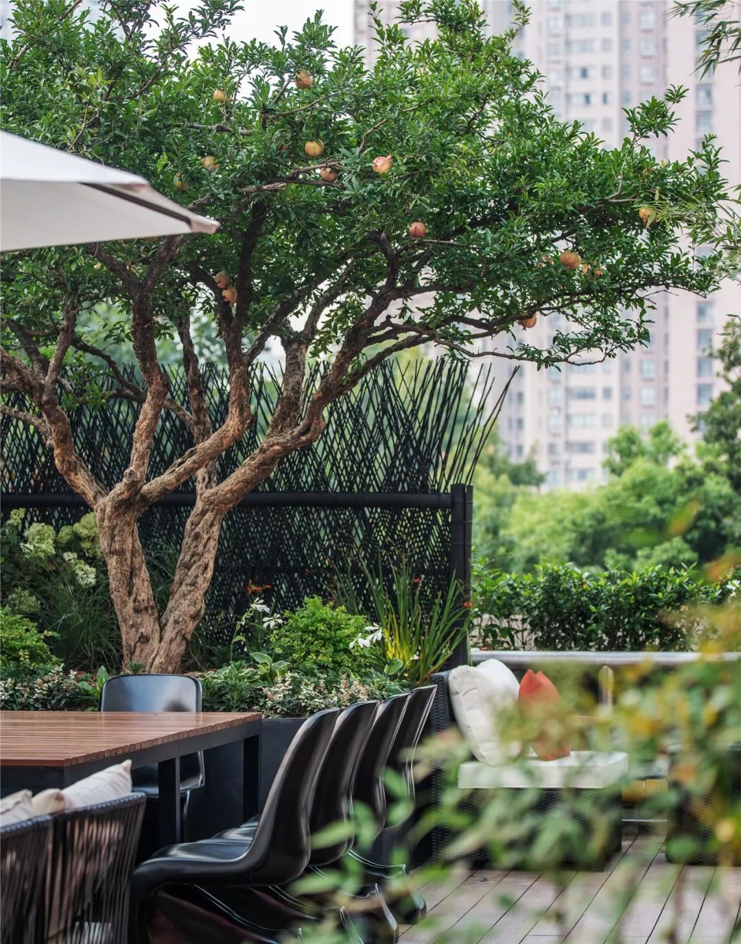 上海地标性餐厅，惊艳众人！ 曾建龙新作-43