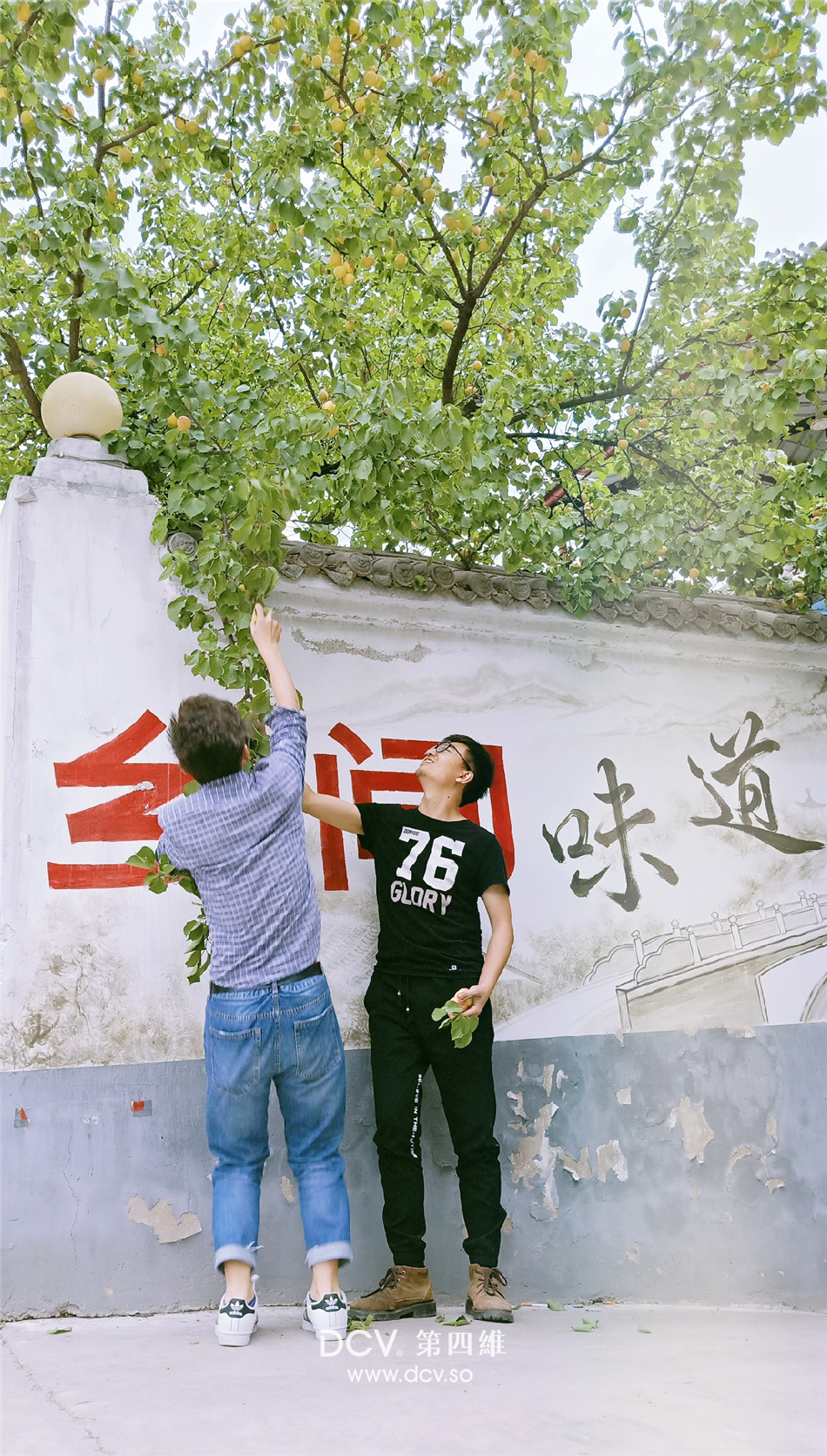 西安文艺的民宿酒店设计-蒲舍·南谷里 （山西永济中条山）-39