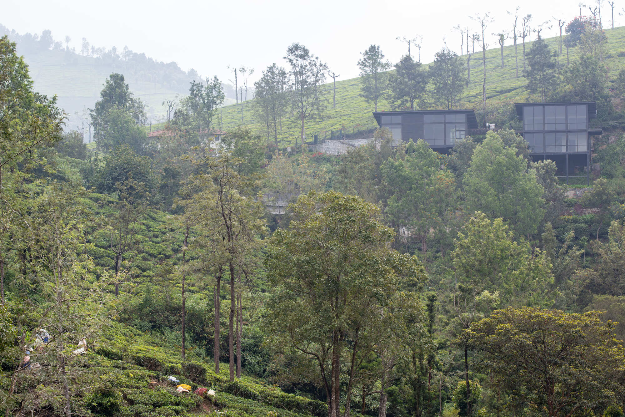 瓦伊，库努尔静居旅舍丨India丨Biome Environmental Solutions-16