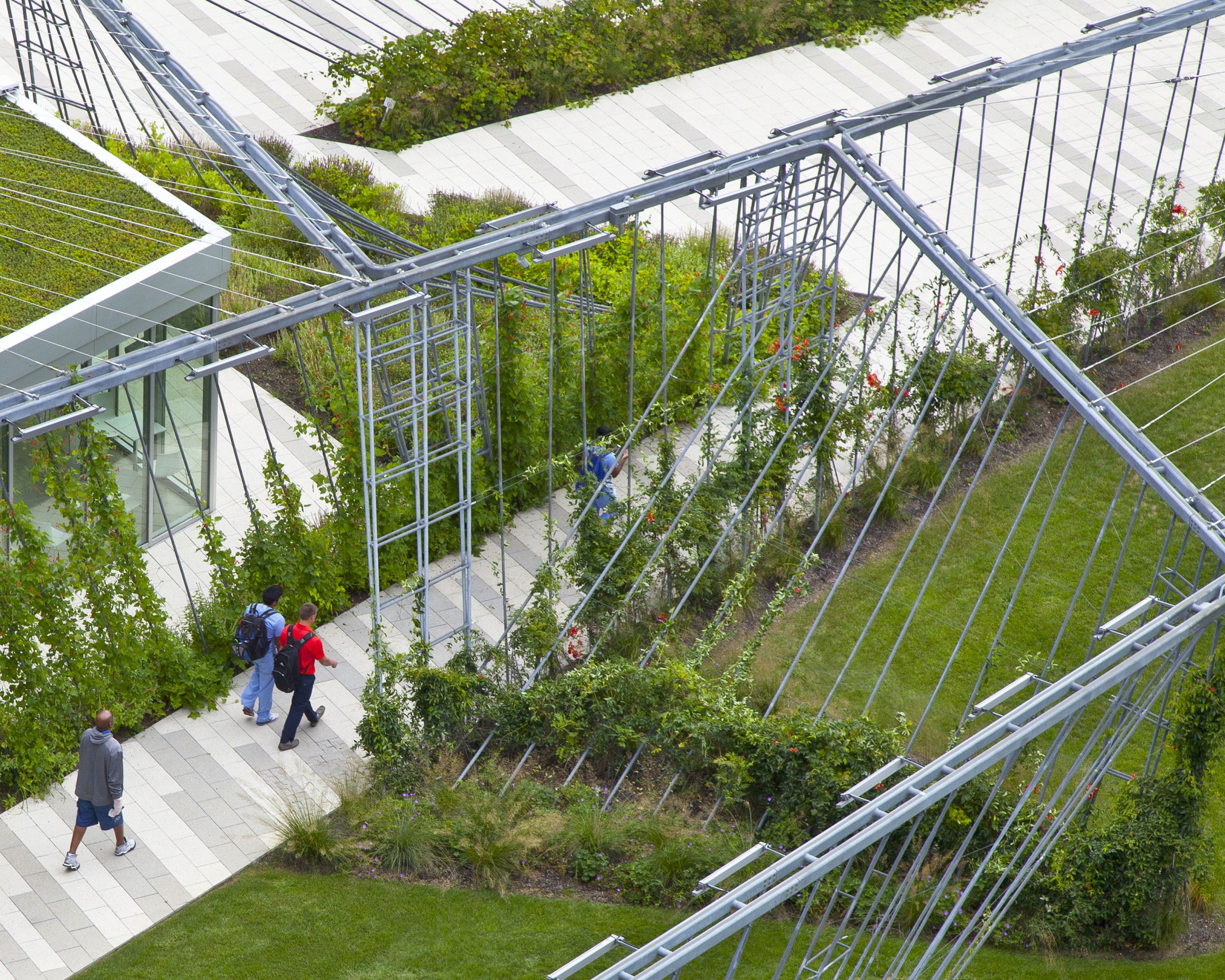 埃斯肯纳齐健康医院的共同基础和天空农场-14