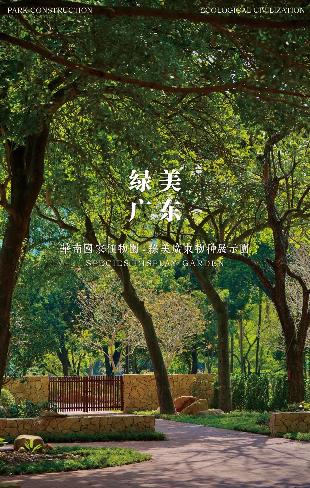 十一赏景别错过！华南国家植物园[绿美广东物种展示园]-2