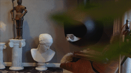 租房也不将就，她花160万装修出租房，只为给男友一个惊喜-20