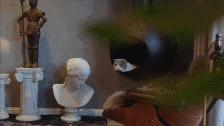 租房也不将就,她花160万装修出租房,只为给男友一个惊喜-20