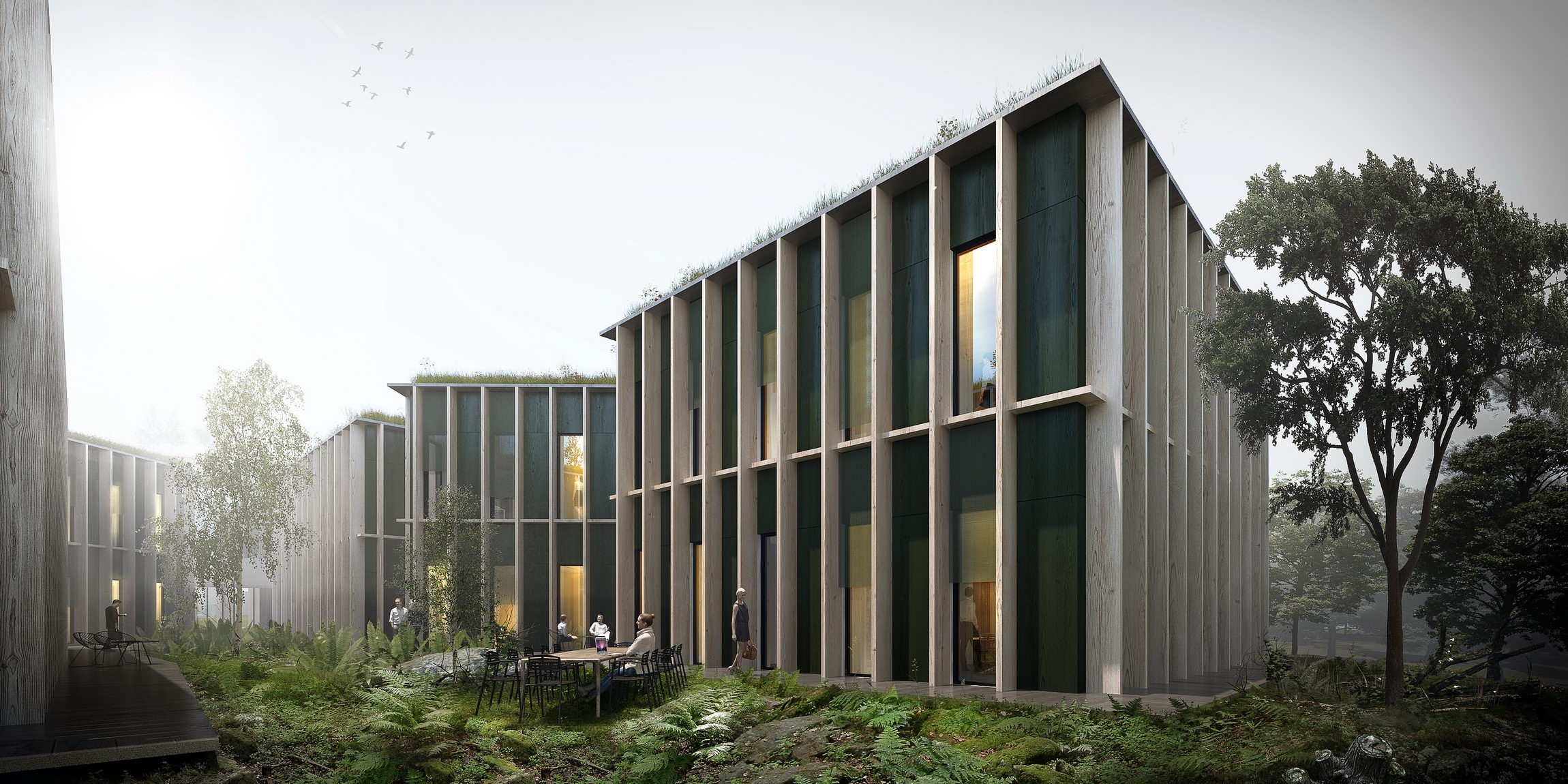 捷克森林管理局总部-2