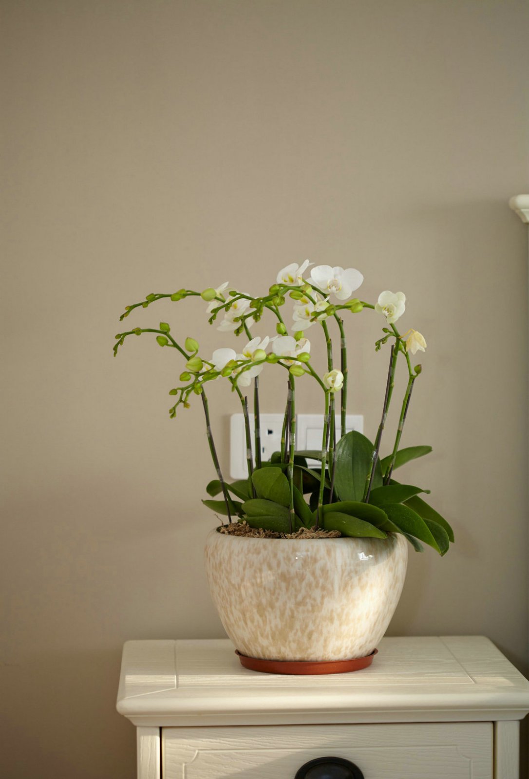 强收纳小户型，老宅变身美式新居-14