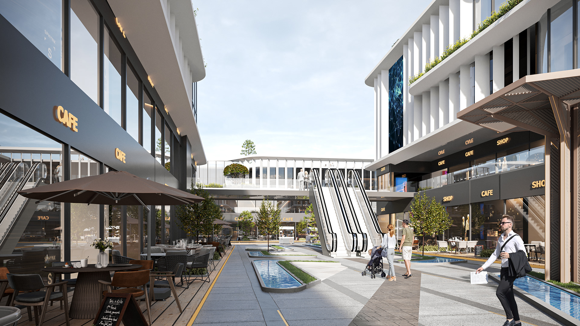 拉维达·怀特·新曼苏拉-8