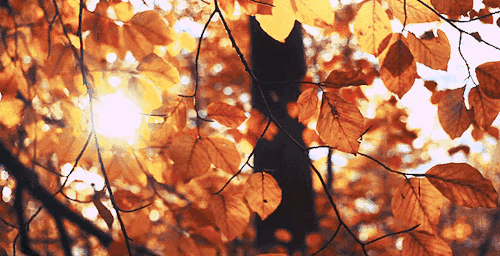 初秋居家，远离中年油腻风-0